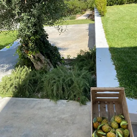 Apartment Antonietta Marsala