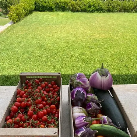 Appartamento Antonietta Marsala